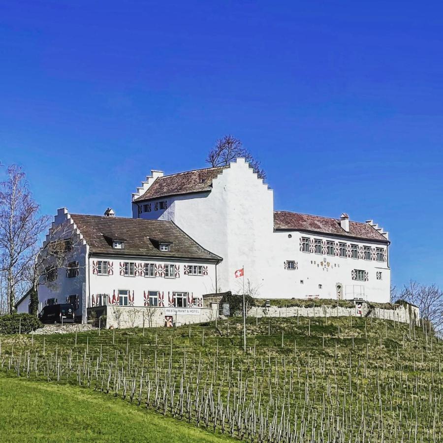 Hotel & Restaurant Schloss Schwandegg Oberstammheim Exteriör bild