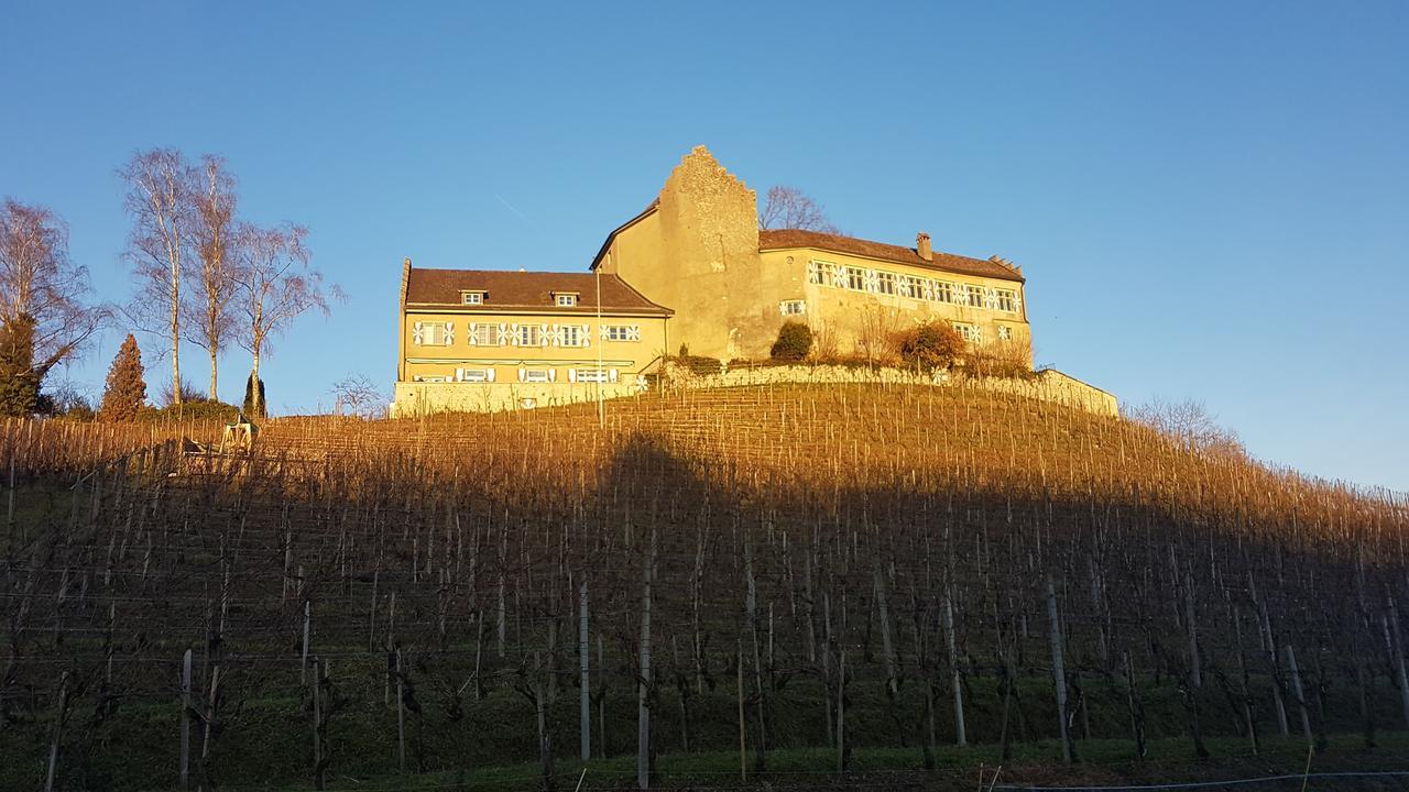 Hotel & Restaurant Schloss Schwandegg Oberstammheim Exteriör bild