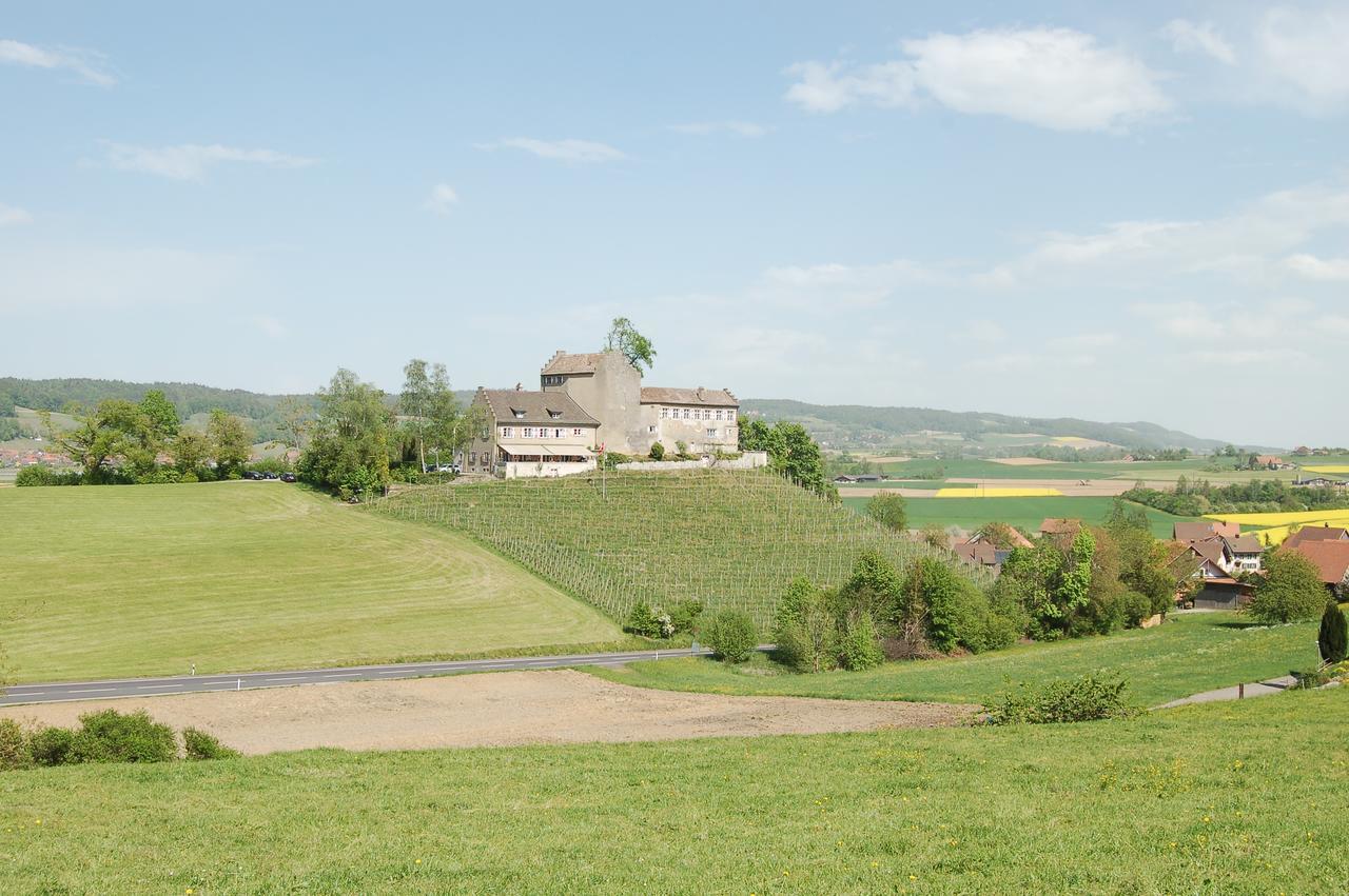 Hotel & Restaurant Schloss Schwandegg Oberstammheim Exteriör bild