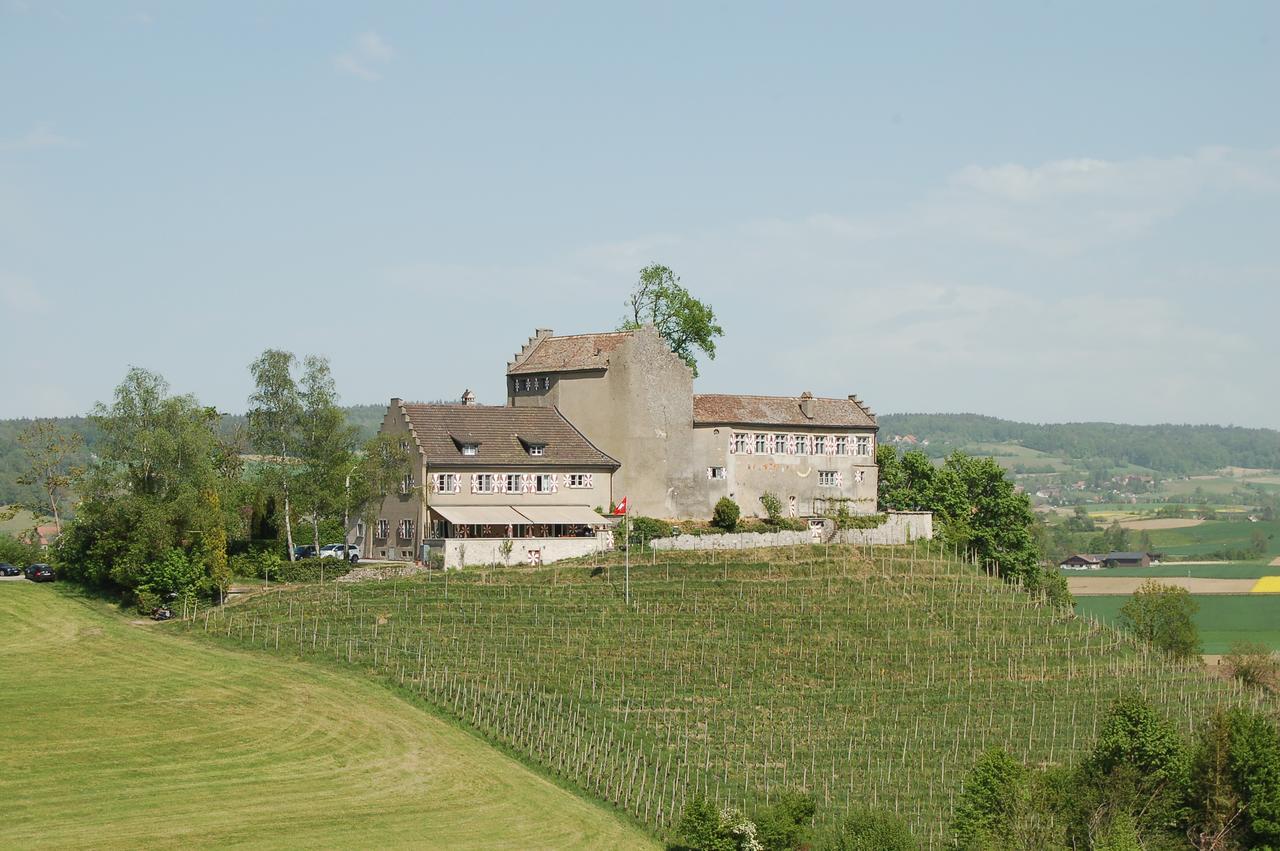 Hotel & Restaurant Schloss Schwandegg Oberstammheim Exteriör bild
